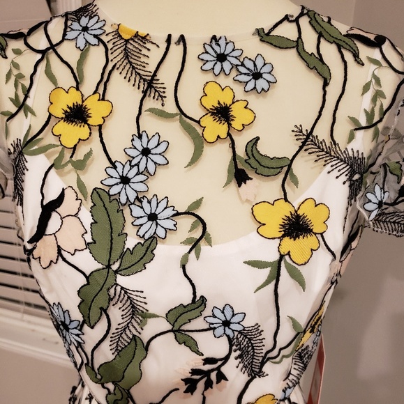BHLDN Forsythia Daisy Dress 14 Monique Lhuillier - Picture 4 of 8